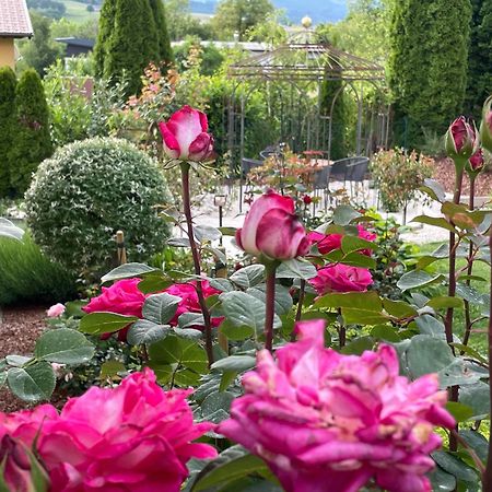 Bed And Breakfast Mittelkaernten Althofen  Exterior foto
